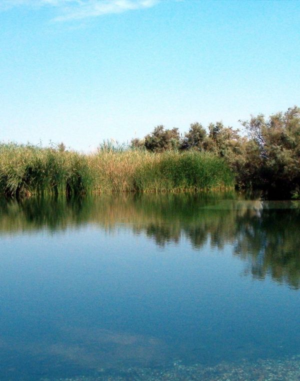 תמונה של עינות צוקים וקומראן: לטייל בשמורה הנמוכה בעולם - למטייל בישראל (טיולי)